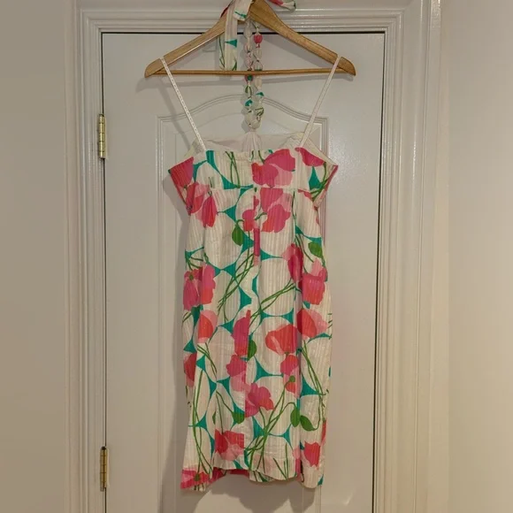 Lilly Pulitzer Besty Had Me A Blast Dress Size 6. Unique / Rare Piece - Picture 5 of 10